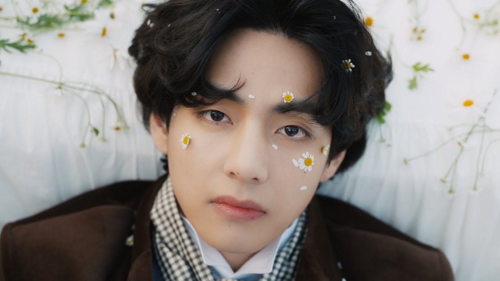 BTS' V — 美しい日々