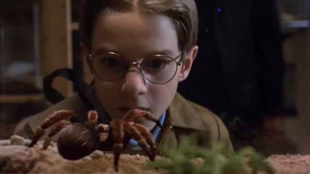 Kill It With Fire: The Most Skin-Crawling Spider Movies Ever Made - Vimarsana News