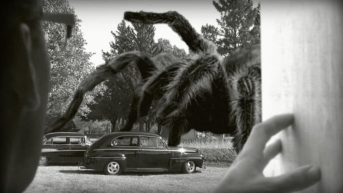 giant spider movie