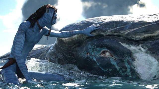 5 'Avatar: The Way of Water' Shortcomings That Can't Be Ignored With Its Streaming Release - Vimarsana News