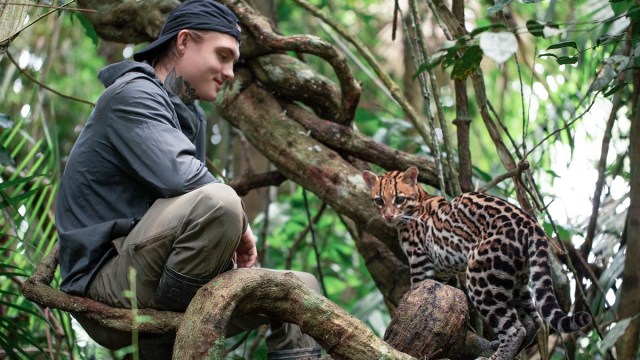 Exclusive: Directors Trevor Frost and Melissa Lesh and Talk 'Wildcat' - Vimarsana News