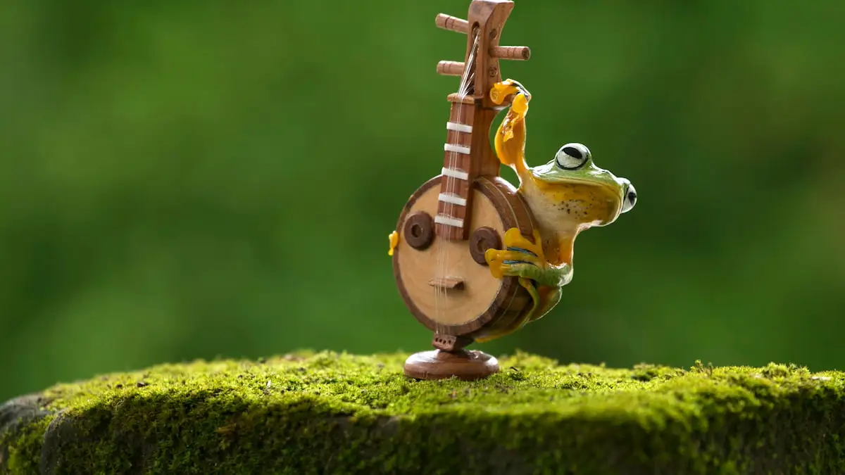 Frog with a banjo