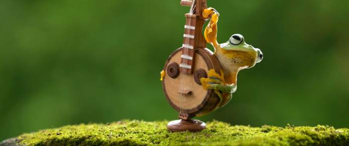 25 best frog puns