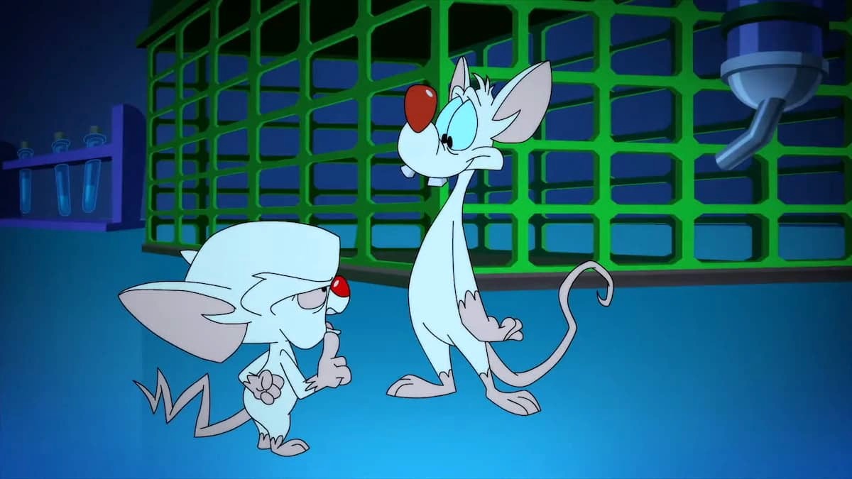 Pinky and the Brain Animaniacs