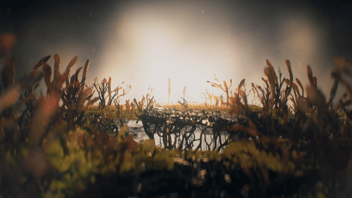 Cordyceps in 'The Last of Us' opening credits