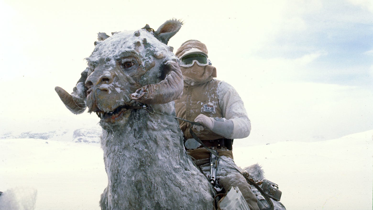 A tauntaun in 'Star Wars: The Empire Strikes Back'