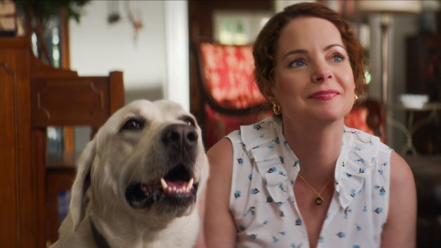 A Heartwarming True Story About a Dog Finds Home in the Netflix Top 10 - Vimarsana News