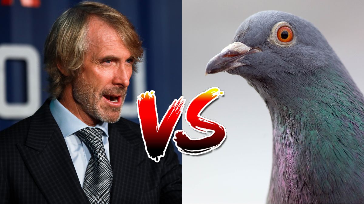 Michael Bay has been charged with killing a pigeon and he says he didn't do it