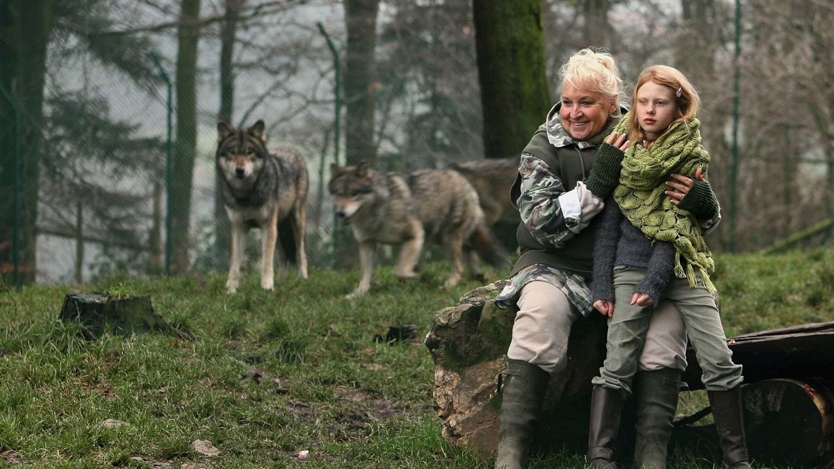 misha and the wolves