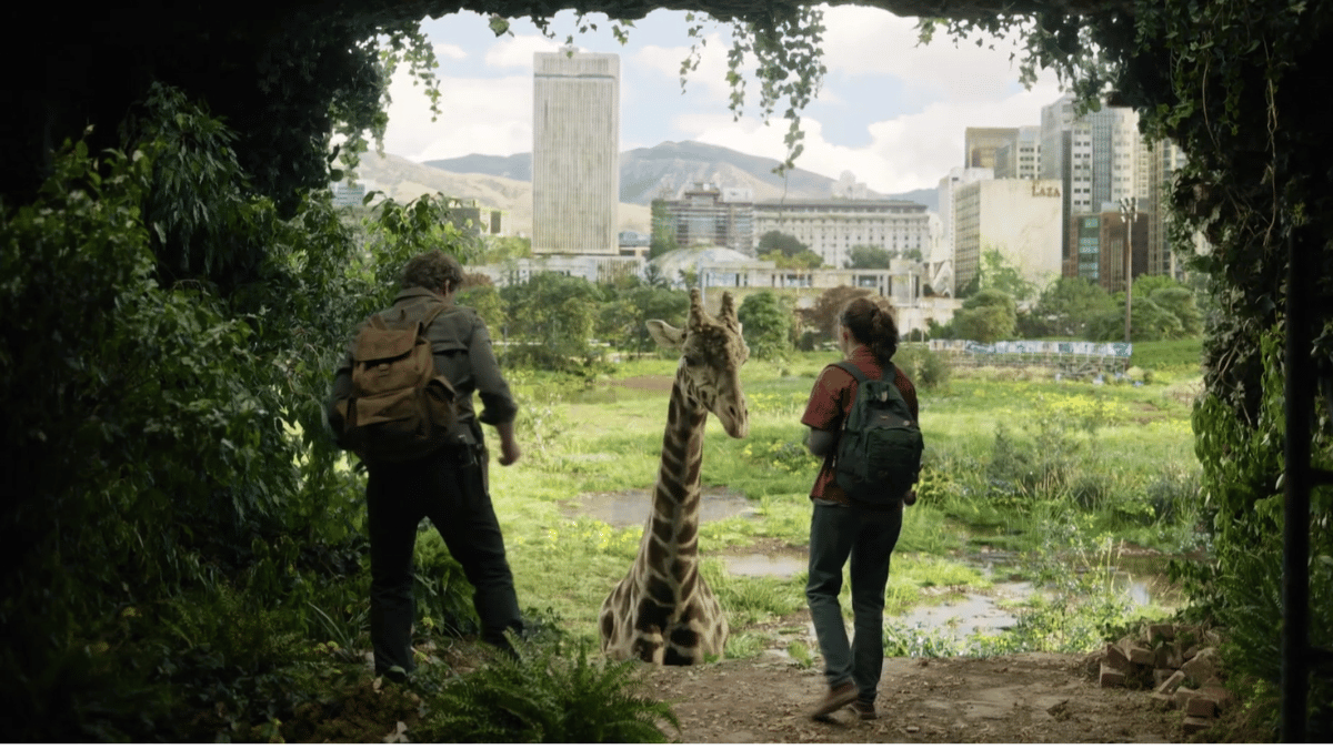 The Last of Us Giraffe Scene HBO