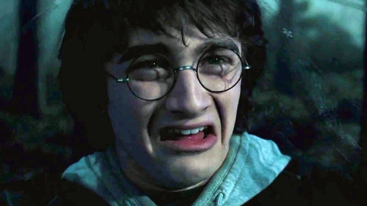 Harry Potter Disgust