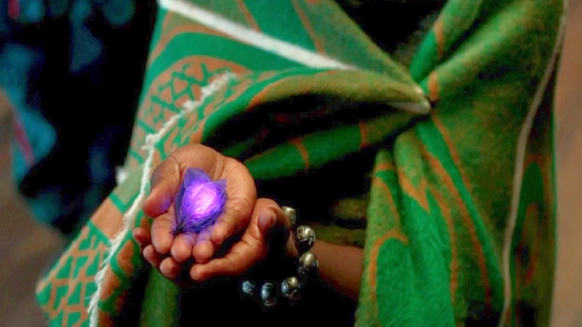 Why Are There No HeartShaped Herbs in 'Black Panther Wakanda Forever?'