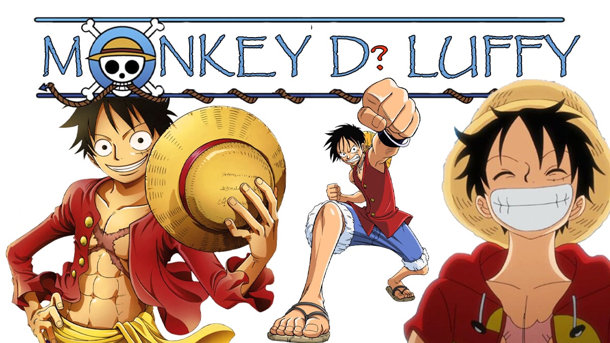 what-does-the-d-stand-for-in-monkey-d-luffy