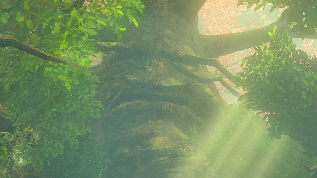 The Great Deku Tree 'The Legend of Zelda Breath of the Wild'