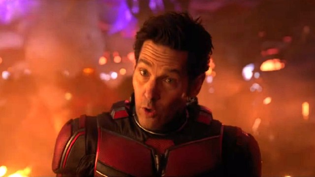 Latest Marvel News: 'Quantumania' Breaks Its Most Embarrassing MCU Record Yet as 'Spider-Man' Star Firing Casts Doubt on Long-Awaited Return - Vimarsana News