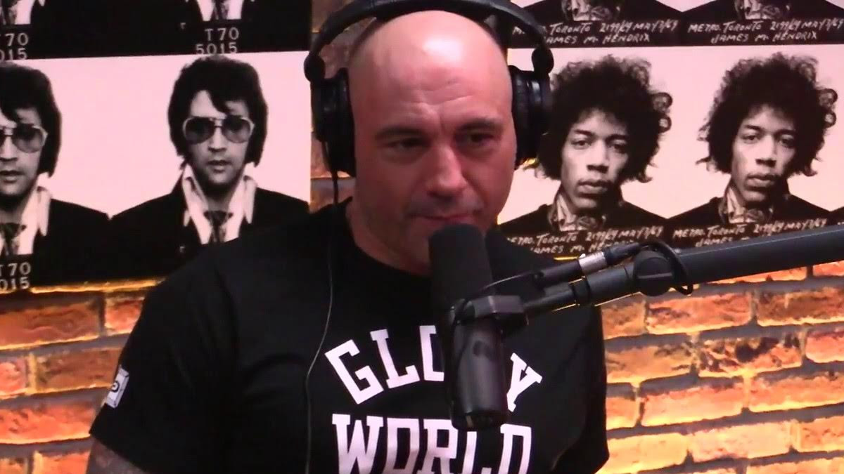 Does Joe Rogan Have Kids?