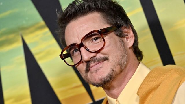 Pedro Pascal Posts LGBTQ+ Support on Instagram, Then Destroys Those Who Don't Approve in the Comments - Vimarsana News