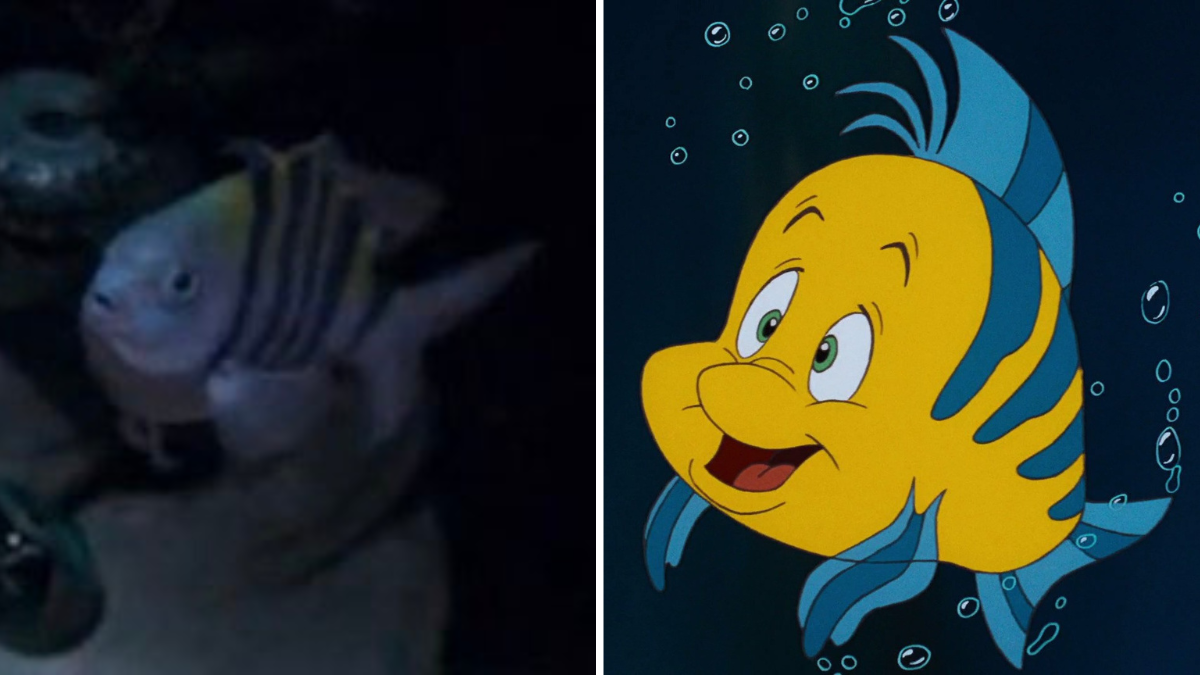 Flounder's live-action 'Little Mermaid' look may be just a bit too