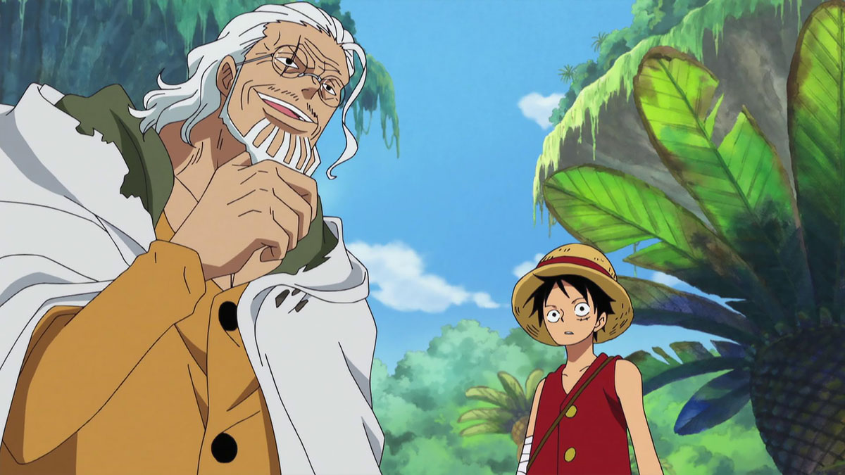 One Piece Luffy and Rayleigh