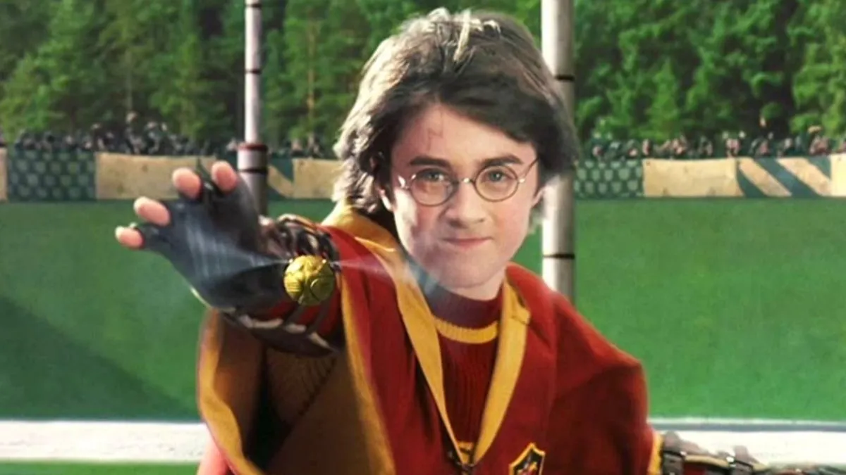Buy Harry Potter: Quidditch Champions Other