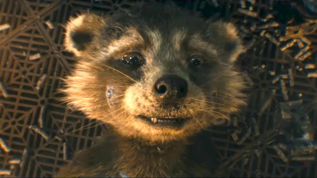 A Heart-Rending Hidden Detail in 'Guardians of the Galaxy's Powerful Ending Means So Much More After 'Vol. 3' - Vimarsana News