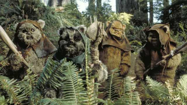 All Ewok Names in 'Star Wars' - Vimarsana News