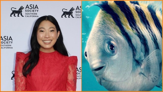'It's Come Up a Couple Times, the Idea of Eating Flounder': Awkwafina Gets Dark About Morbid Thoughts Surrounding 'The Little Mermaid' - Vimarsana News