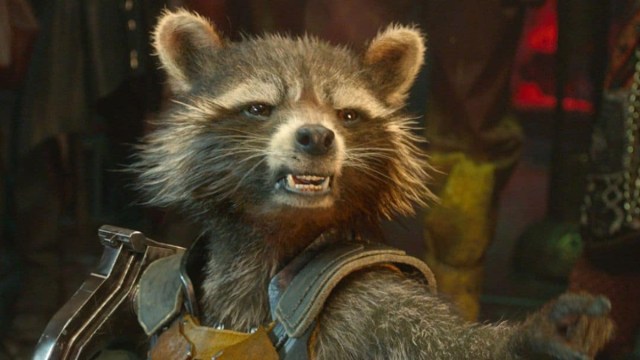 Marvel Could Bring Us a Truly Chaotic Relationship for Rocket Raccoon in Future MCU Films, and I'm Personally Here for It - Vimarsana News