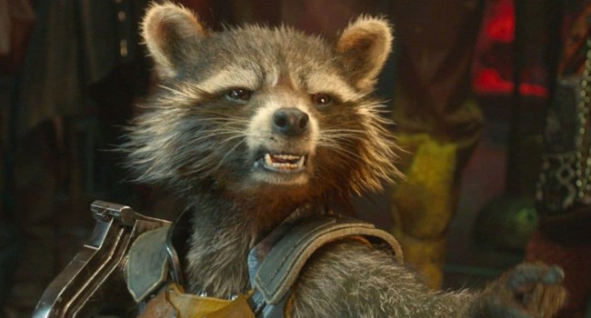 Marvel could bring us a truly chaotic relationship for Rocket Raccoon in future MCU films, and I’m personally here for it