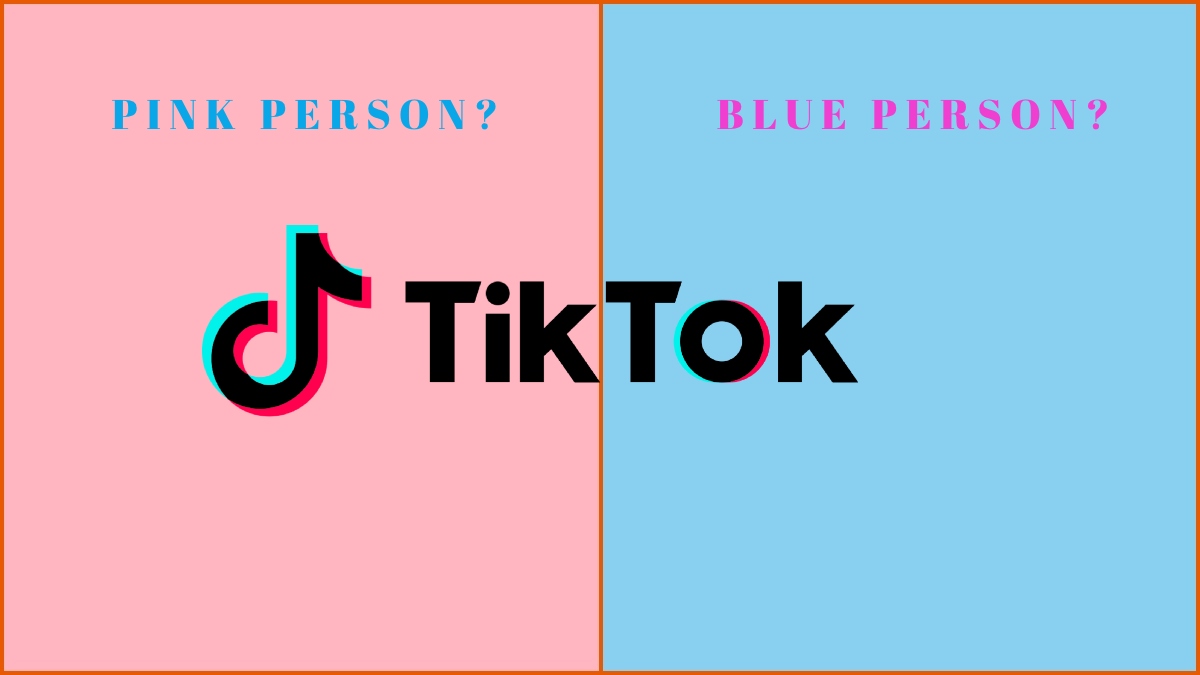Pink Person Blue Person TikTok