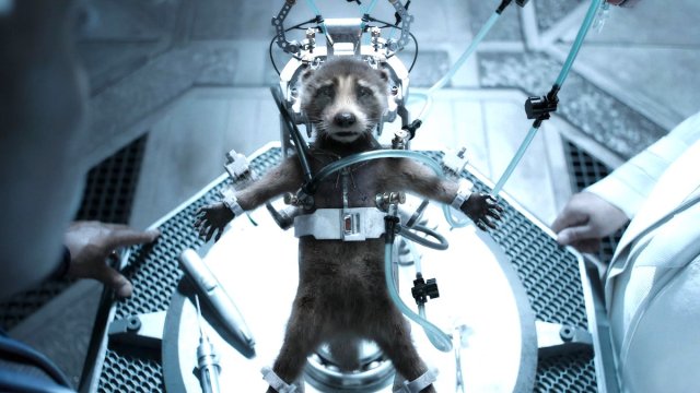 Bradley Cooper as Rocket in Guardians of the Galaxy Vol. 3