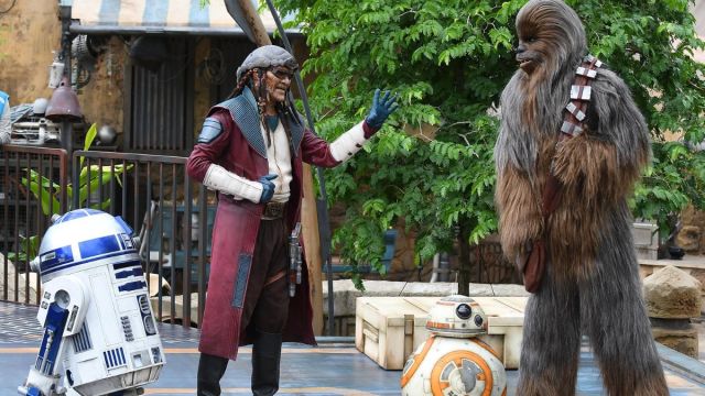 Latest Disney News: Disney World Offers Special May 4 Photo Ops for Star Wars Fans, as DeSantis Gears Up for Next Move In Mouse House Battle - Vimarsana News