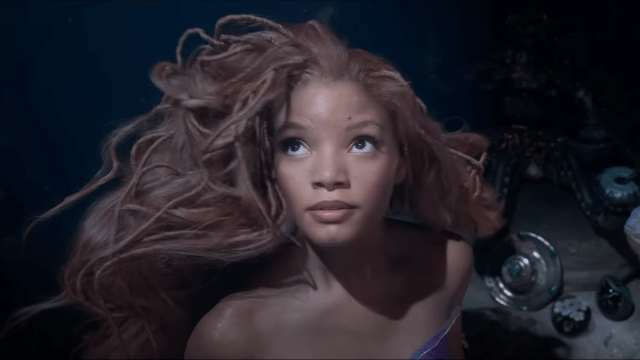 'I Wouldn't Like Any of the Conflict To Start': Halle Bailey Shares the Strange Way She Used To Watch 'The Little Mermaid' As a Kid - Vimarsana News