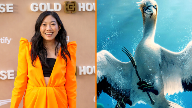 Scuttle's Lackluster CGI Won't Be Enough To Stop Awkwafina From Stealing the Show in 'The Little Mermaid' - Vimarsana News