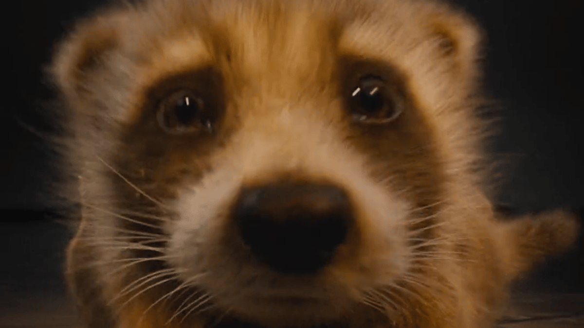 Rocket Raccoon test footage for 'Guardians of the Galaxy Vol. 3'