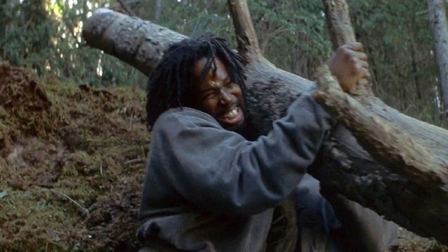 Stephen King Recommends a Treat for Cinematic Survivalists Everywhere - Vimarsana News