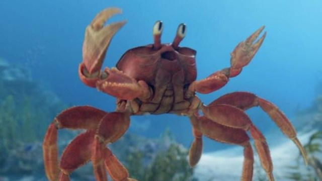 Who Plays Sebastian in 'The Little Mermaid' and Where Have We Seen Him Before? - Vimarsana News