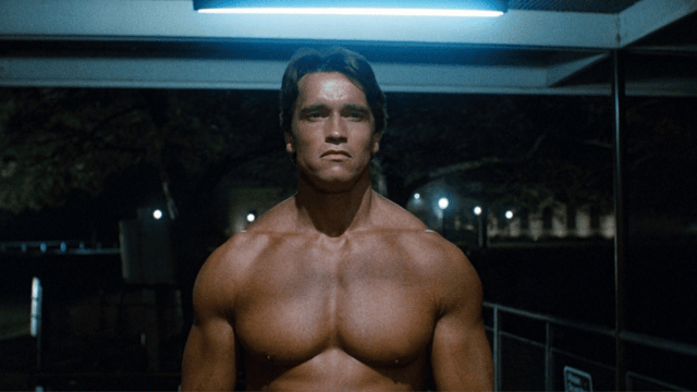 Arnold Schwarzenegger in 'The Terminator'
