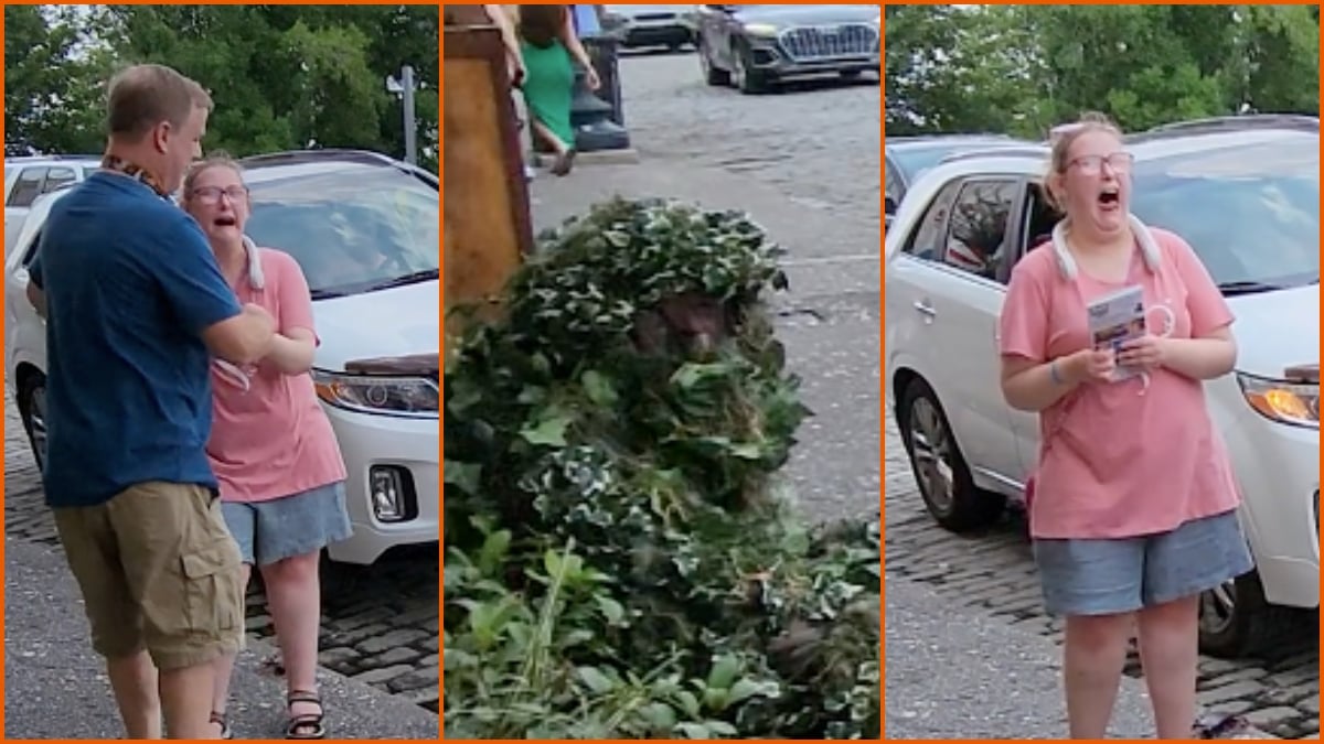 ‘I’m Such A JERK!!!’: Man Dressed As Bush Scars Unsuspecting Passerby ...