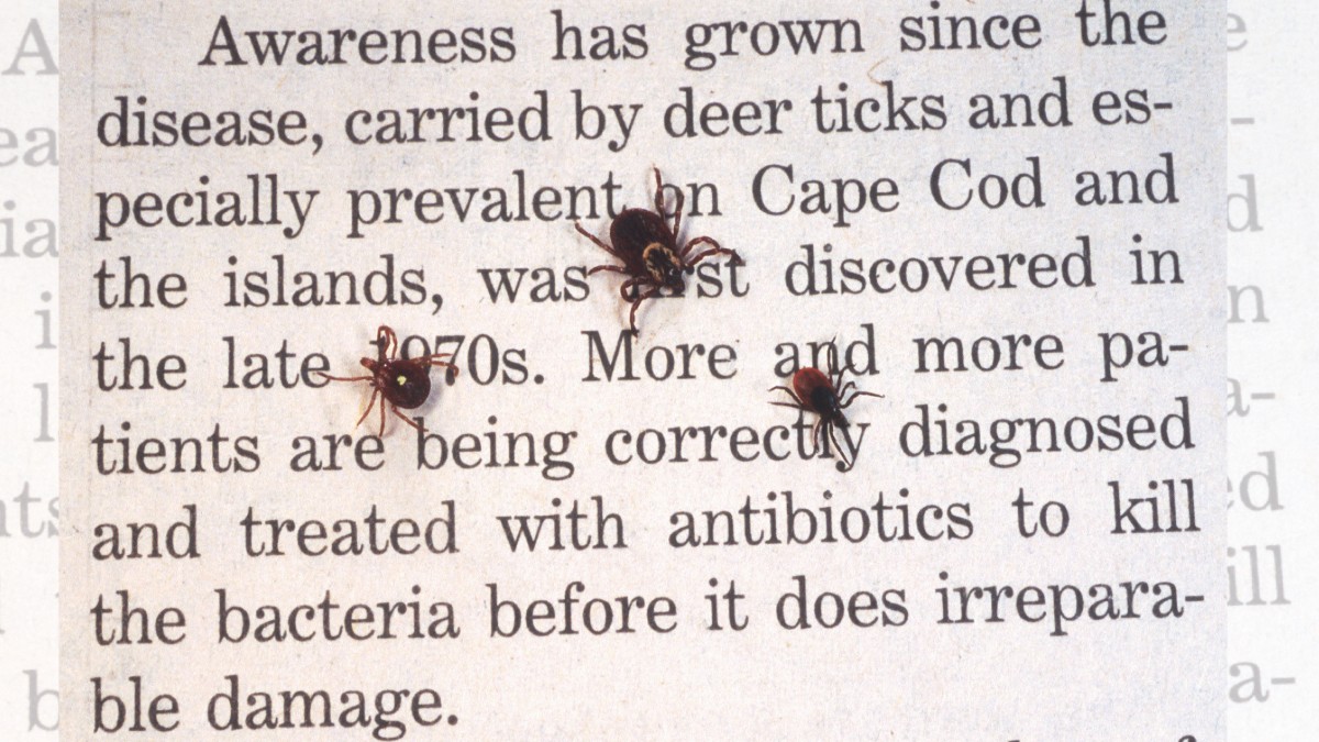 Lyme disease