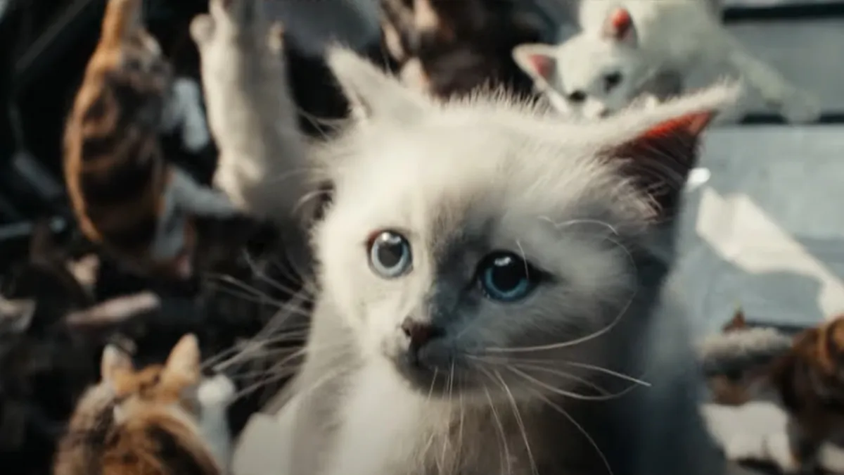 The Marvels Trailer Flerken Kittens 1