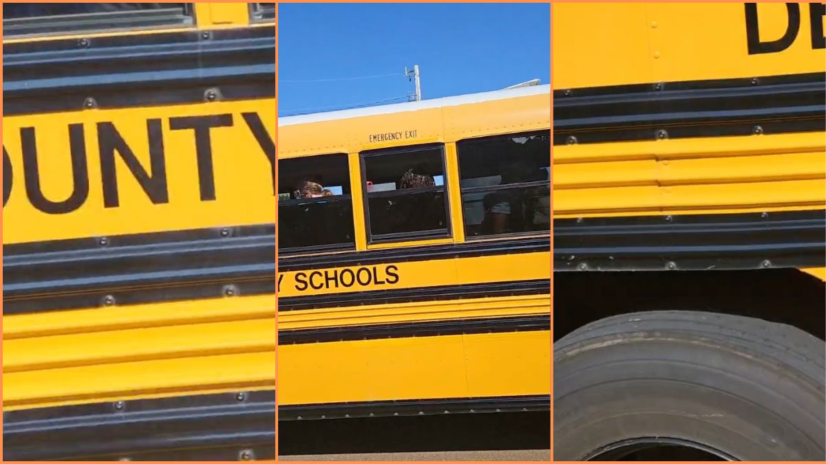 ‘There Is More to This Story’ Chaos Breaks Out as School Bus Driver