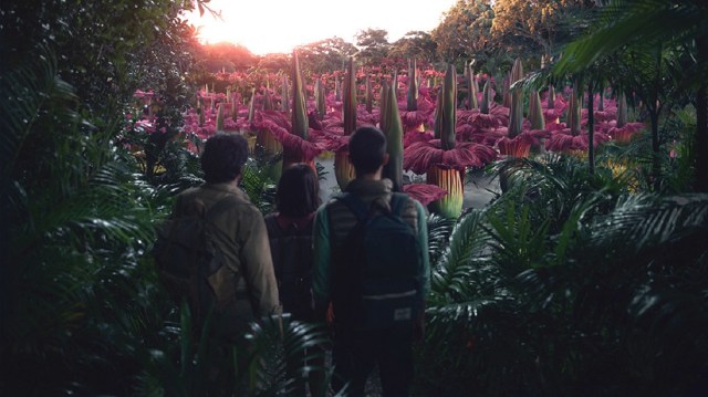 dora and the lost city of gold