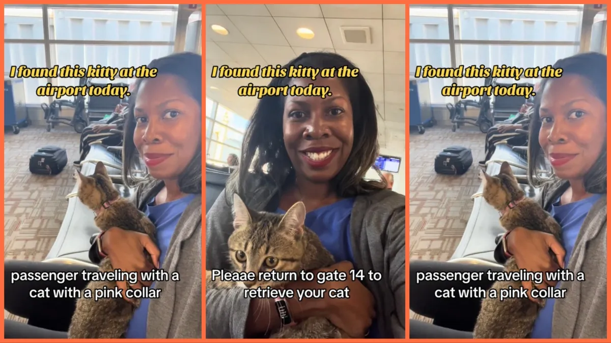 ‘You're genuinely an angel on Earth': Good Samaritan performs an early Christmas miracle after finding a lost cat in an airport