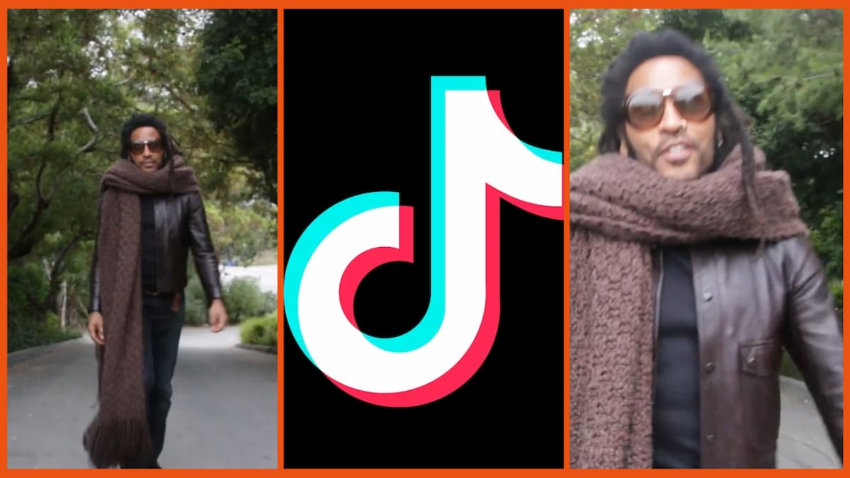 Lenny Kravitz’s Giant Blanket Scarf Meme on TikTok, Explained