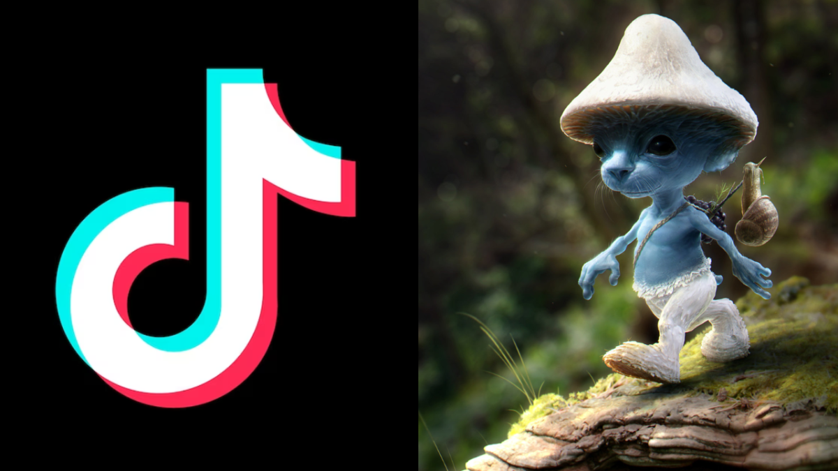 The blue cat Smurf meme isn't dead｜TikTok Search