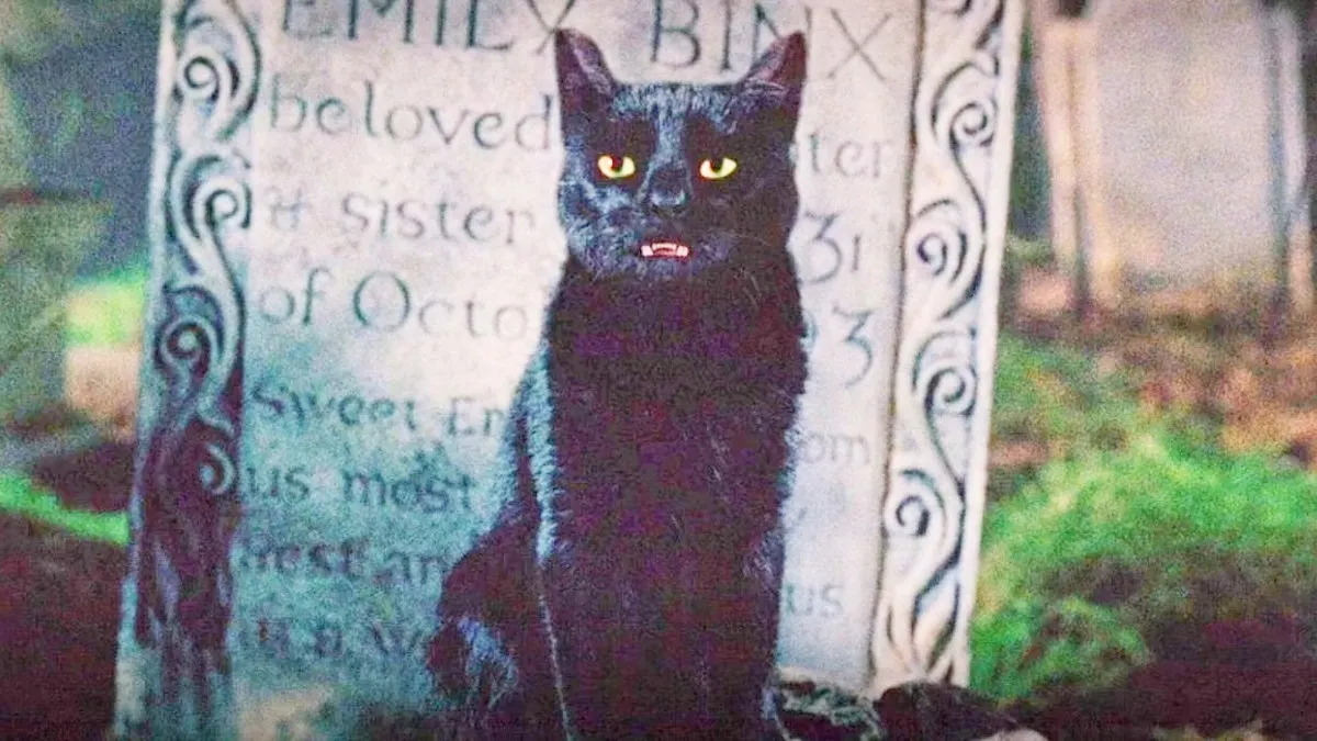 Binx in Hocus Pocus