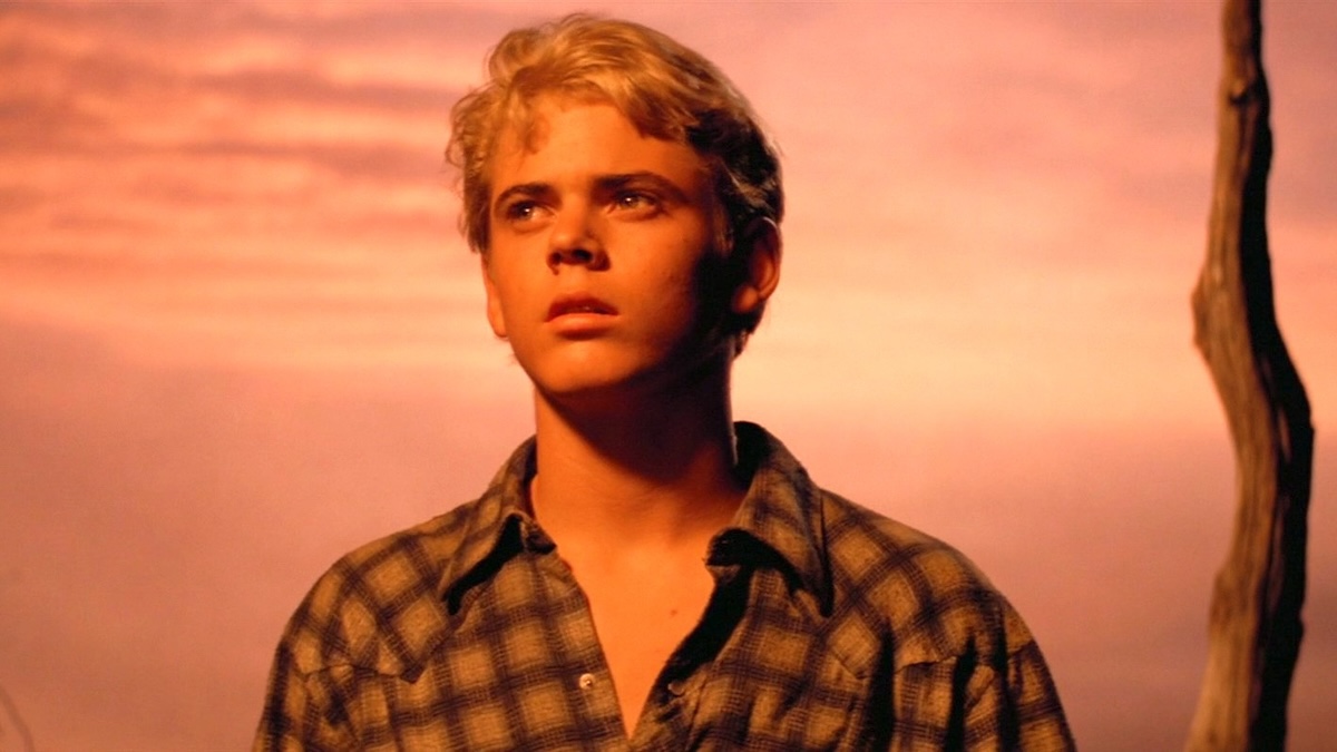Ponyboy Curtis played by C. Thomas Howell in 'The Outsiders'