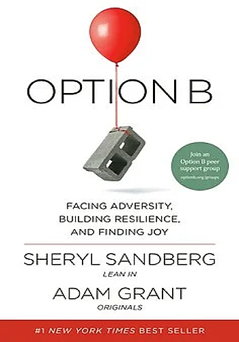 Option B- Facing Adversity, Building Resilience, and Finding Meaning (2016)