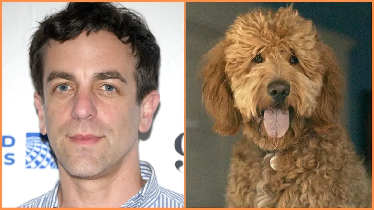 A photo montage with actor BJ Novak on the left and the goldendoole from Apple TV Plus' 'Lessons in Chemistry'